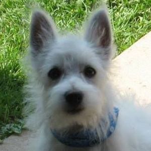 Meet your Posher, Marie