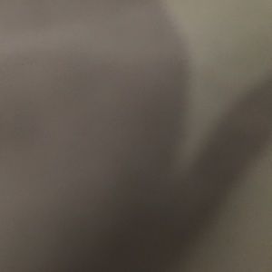 Meet your Posher, Ray