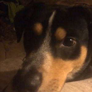 Meet your Posher, Blake