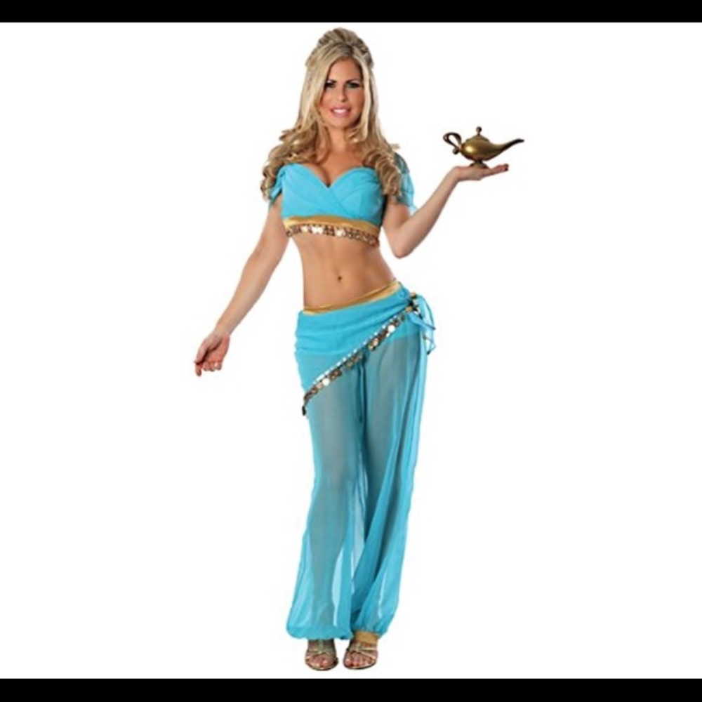 Princess Jasmine (Belly Dancer) Adult Costume