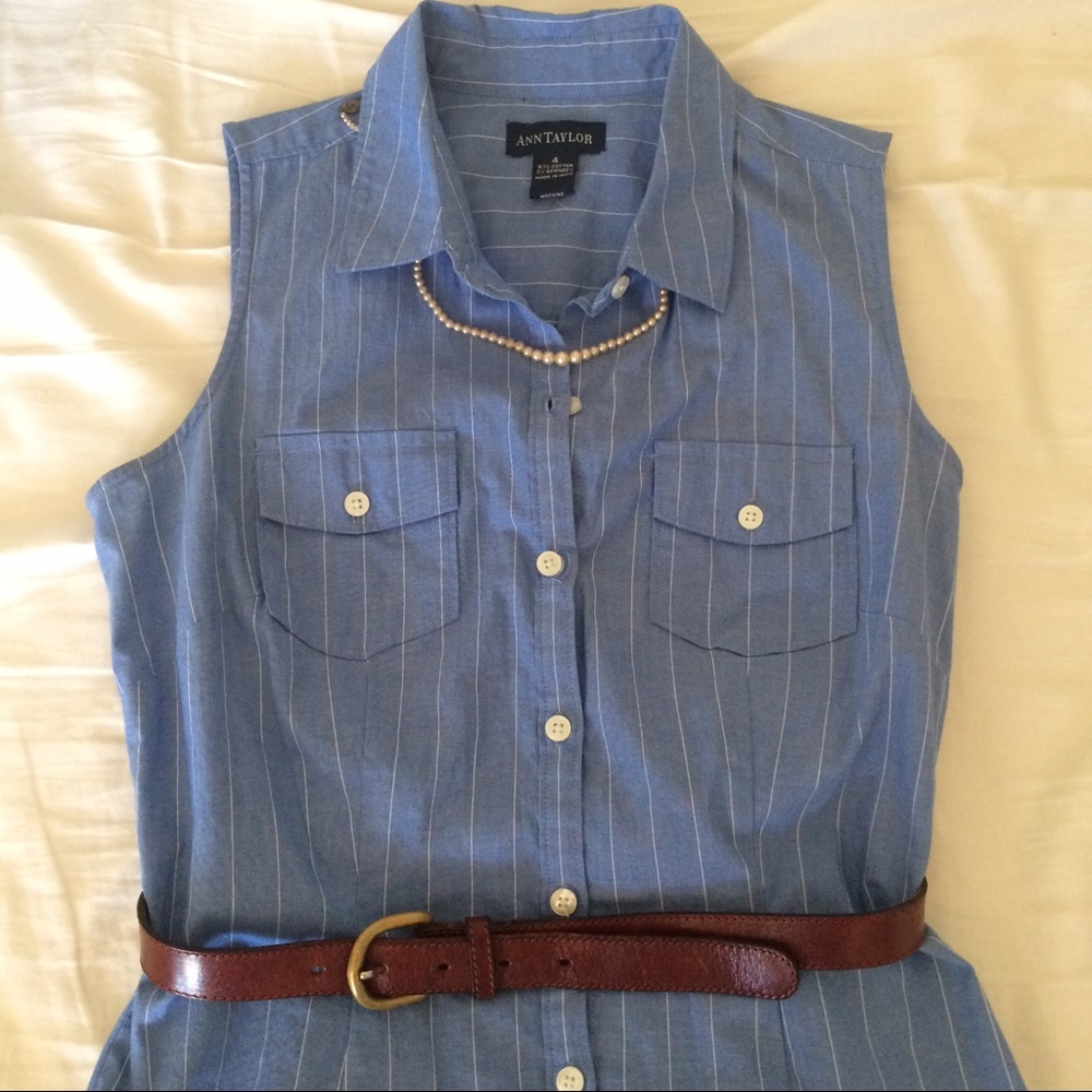 Ann Taylor striped fitted shirt dress