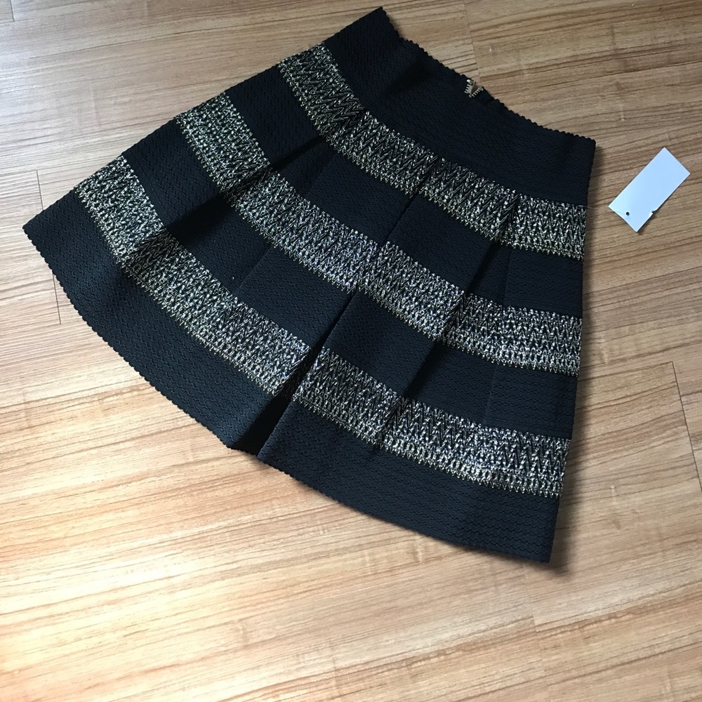 Black and Metallic Skirt