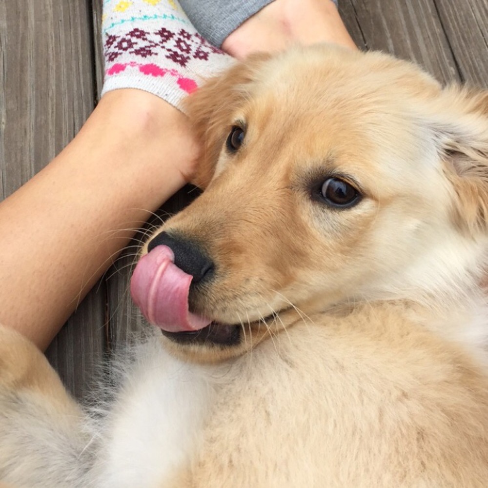 Meet your Posher, Makayla