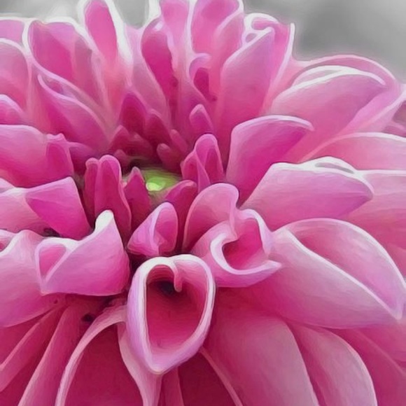 Meet your Posher, Sally and Sloane - Picture 2 of 2