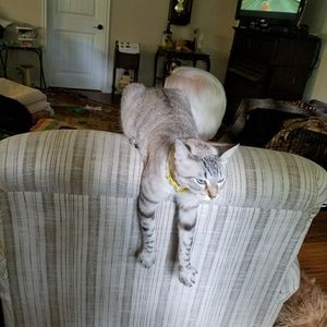 Meet your Posher, Malinda