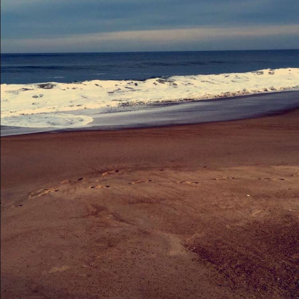 Meet your Posher, Zandria