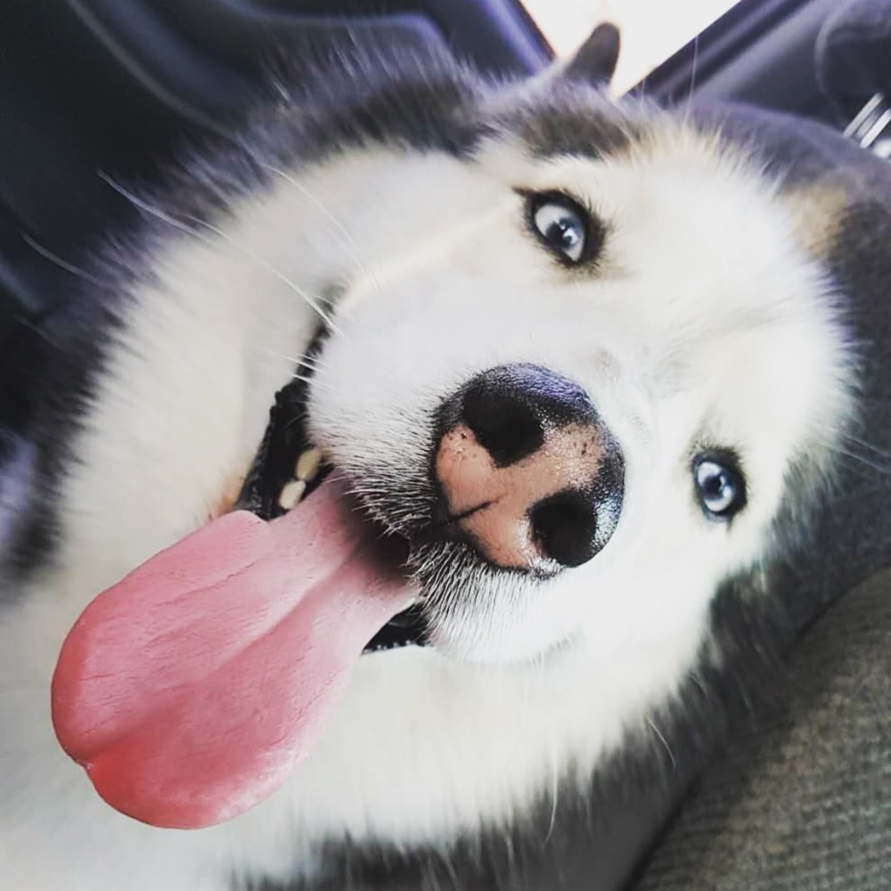 Meet your Posher, Rina