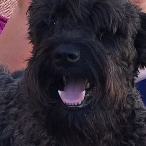 Meet your Posher, Beth