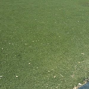 Meet your Posher, Sheila