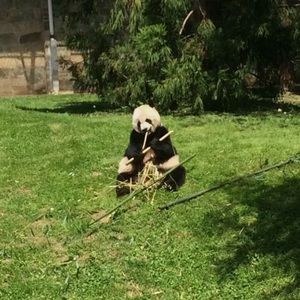 Meet your Posher, Andreas