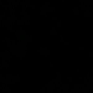 Meet your Posher, Tyra