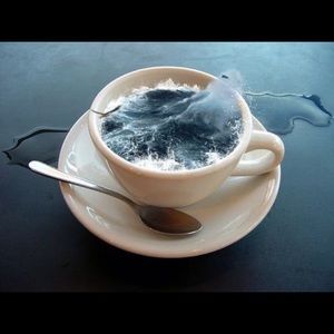 Meet your Posher, Ali