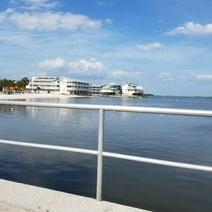 Meet your Posher, Liz