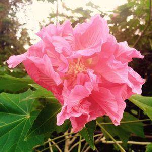 Meet your Posher, Breanna