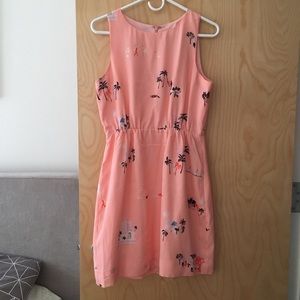 Jcrew Sun Shift Dress in Florida Pink