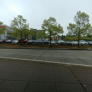 Meet your Posher, Zulaa