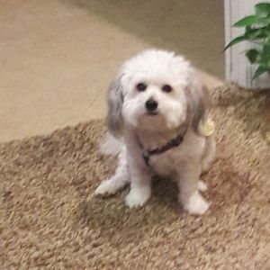 Meet your Posher, Judi