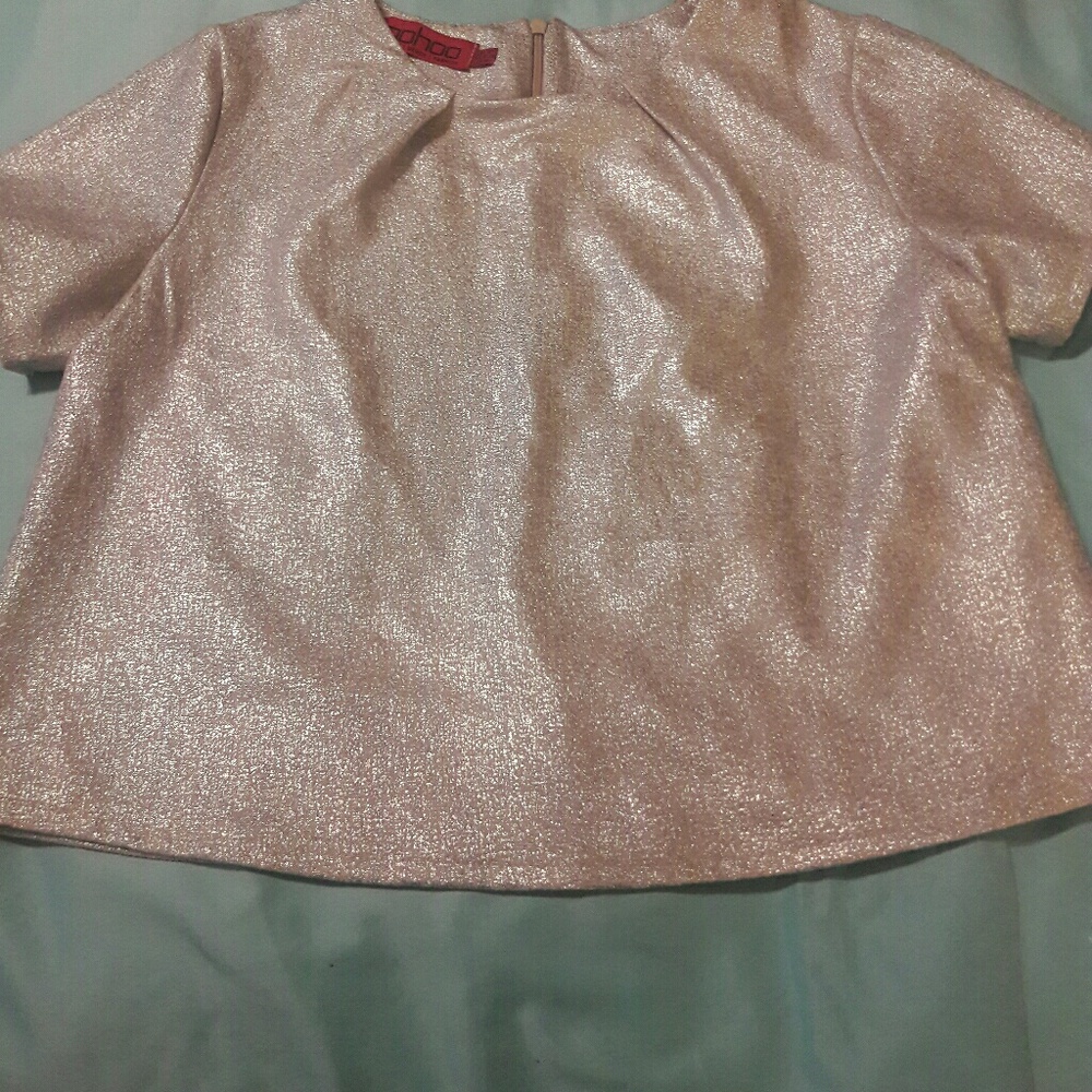 Silver Crop Top