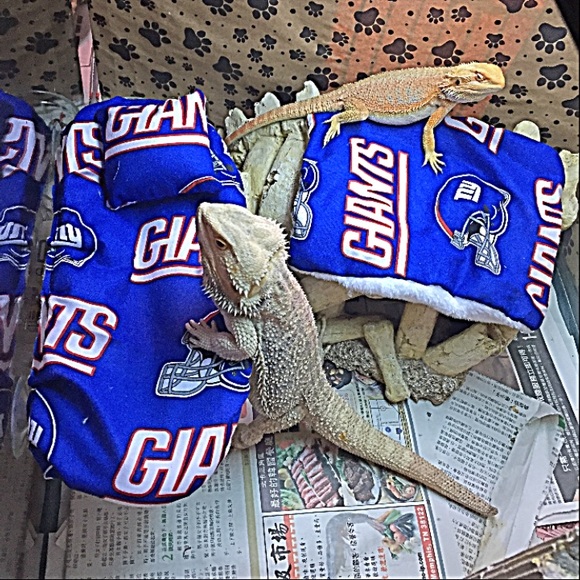 Bedding Bearded Dragon New Attachable Resting Bed Covers Poshmark