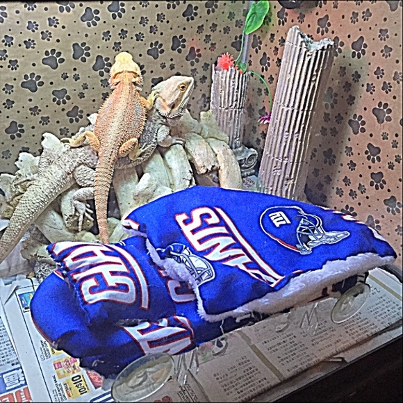 Bedding Bearded Dragon New Attachable Resting Bed Covers Poshmark