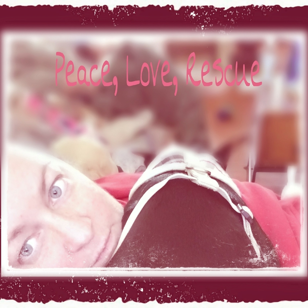 Meet your Posher, Rebecca