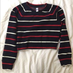 American Apparel Cropped Sweater