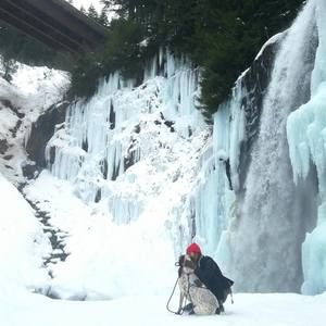 Meet your Posher, Bridgette