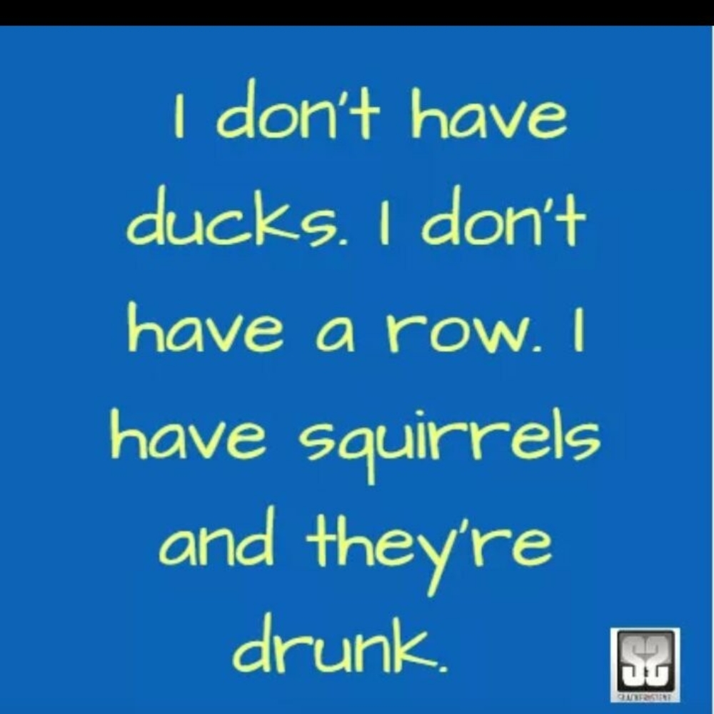 Meet your Posher, Joyce