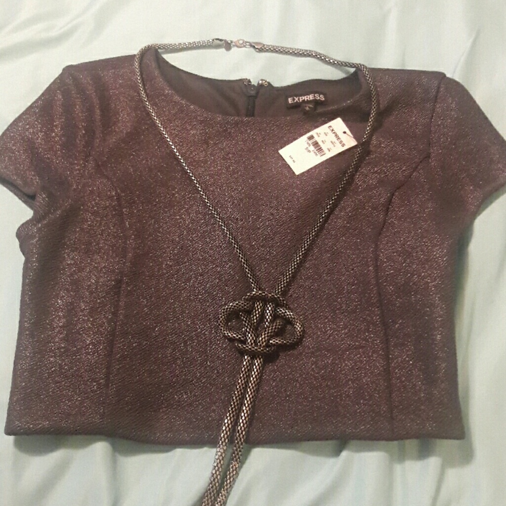 Express Crop Top