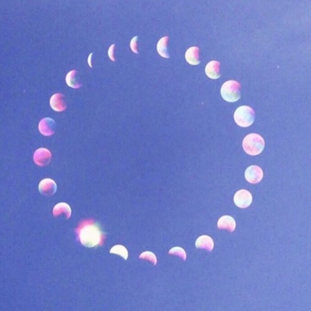 Meet your Posher, Bridget