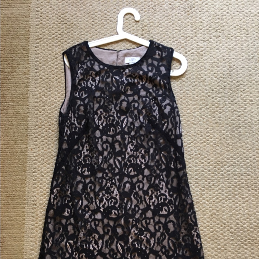 Loft Lace Shift Dress