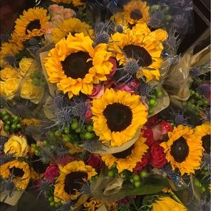 Meet your Posher, Patty