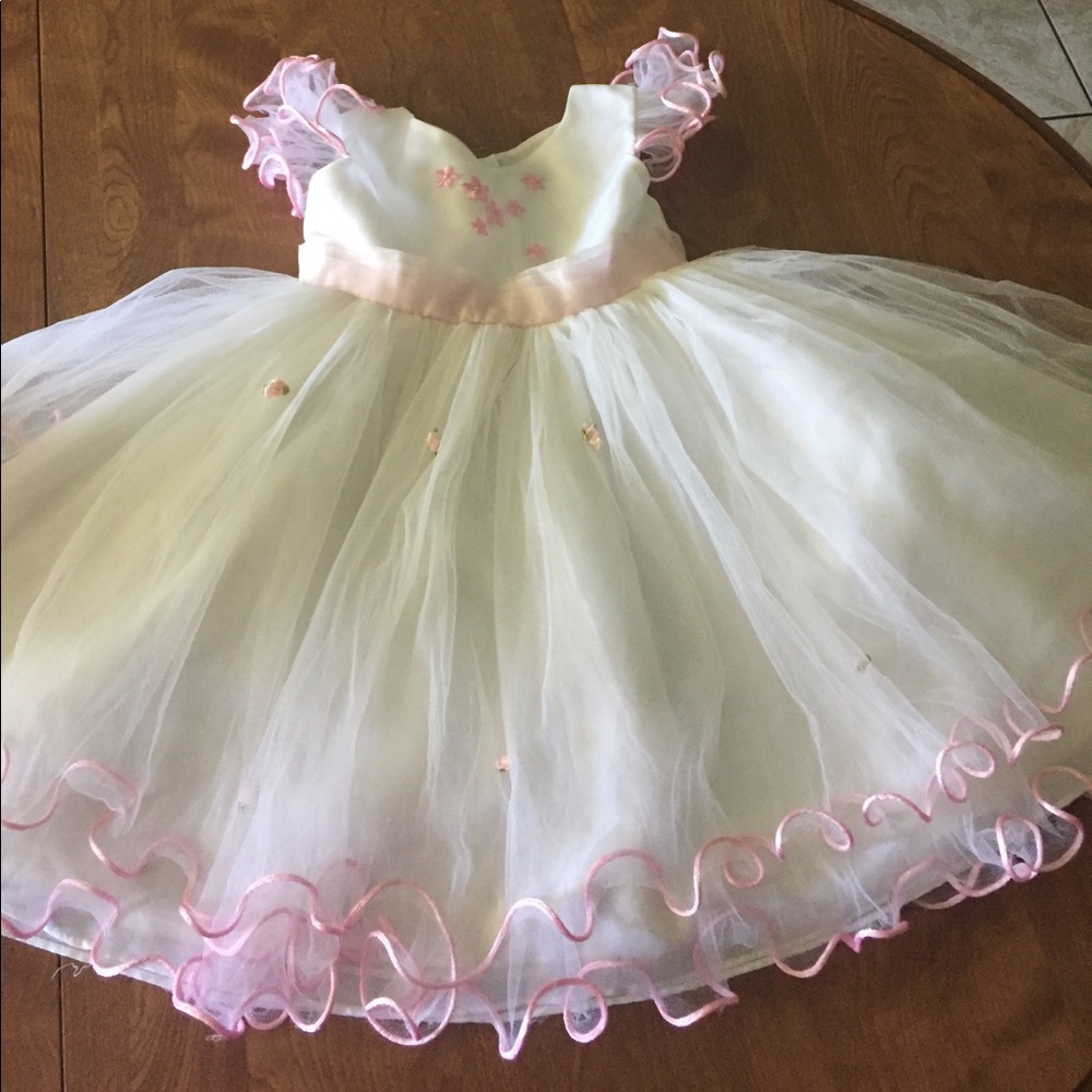 Girls Size 2XL Pink Flower Floral Poofy Dress G79