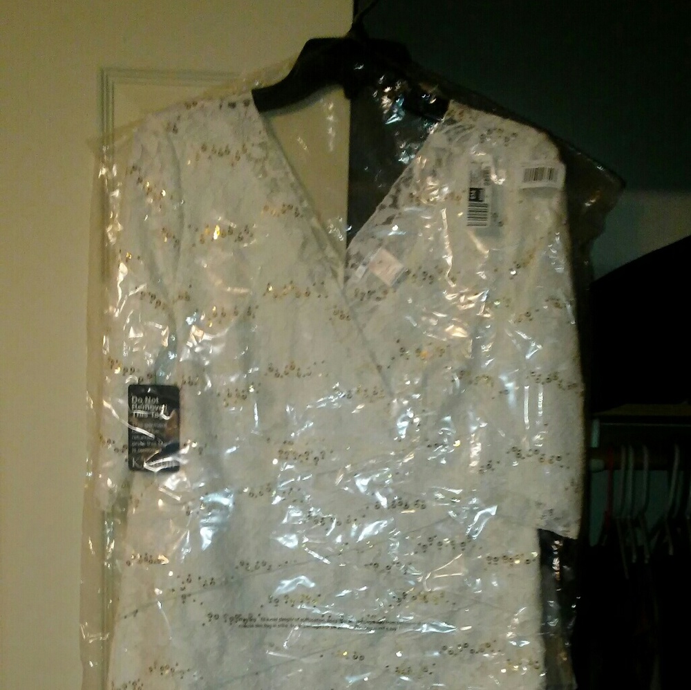 Lace pleat dress with Sequins