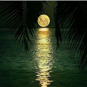 Meet your Posher, Tyrone