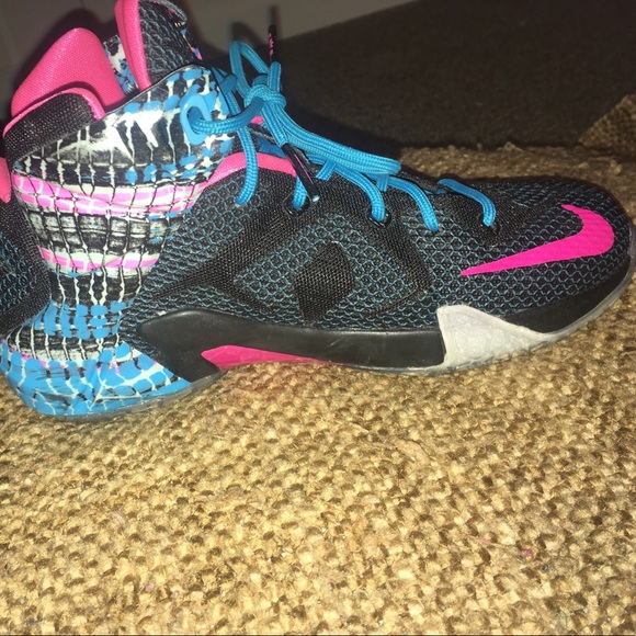 Lebron 12's chromosomes - Picture 1 of 1