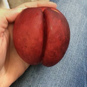 Meet your Posher, Camryn