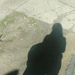 Meet your Posher, Sharell