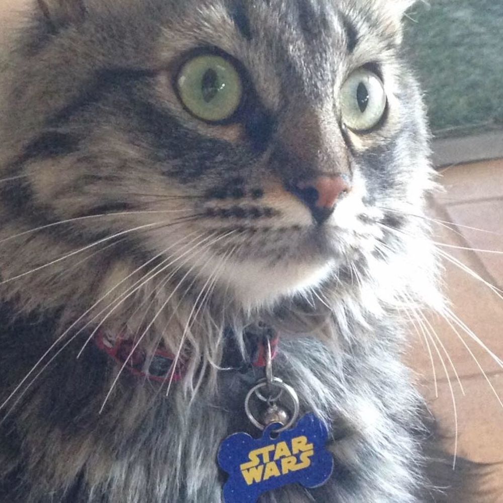 Meet your Posher, Dianna