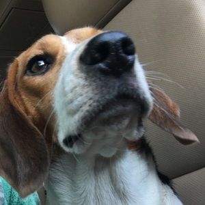 Meet your Posher, Nakia