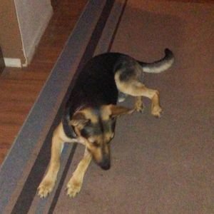 Meet your Posher, Sharon