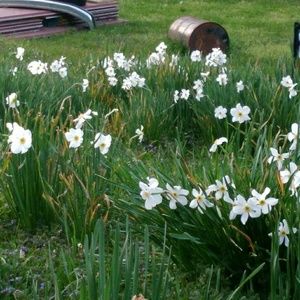 Meet your Posher, Tonya