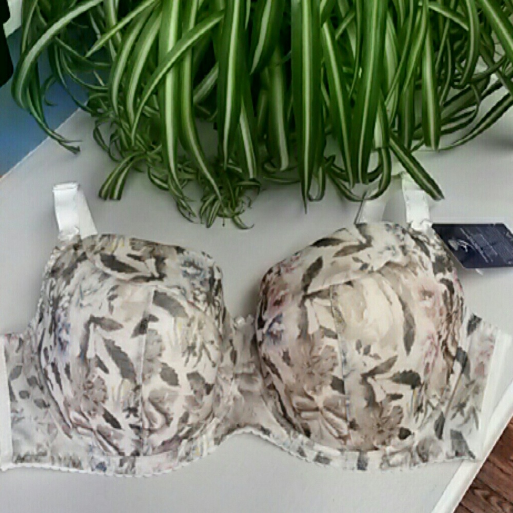 Gaia Floral print bra. NWT. 40 D