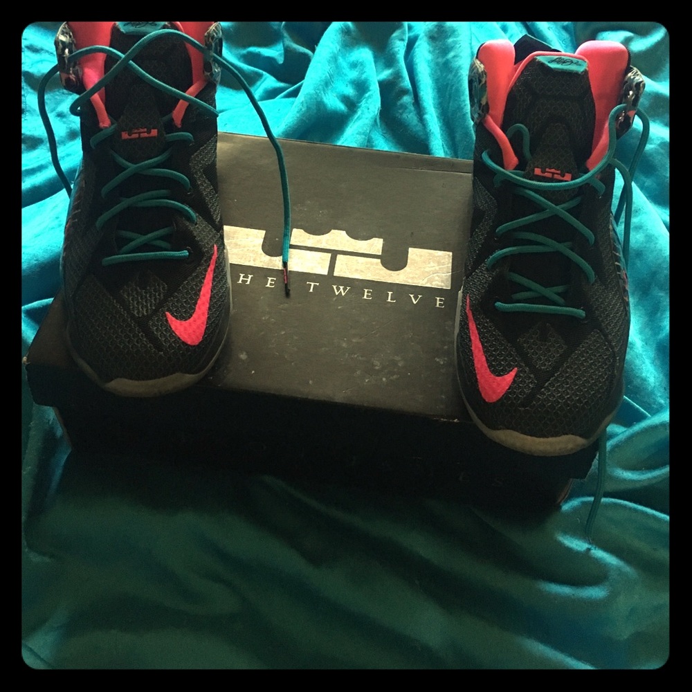 Labron 12