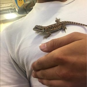 Meet your Posher, Eduardo