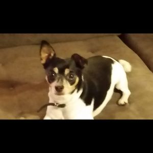 Meet your Posher, Joan