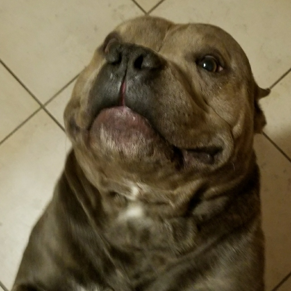 Meet your Posher, Cuauhtemoc