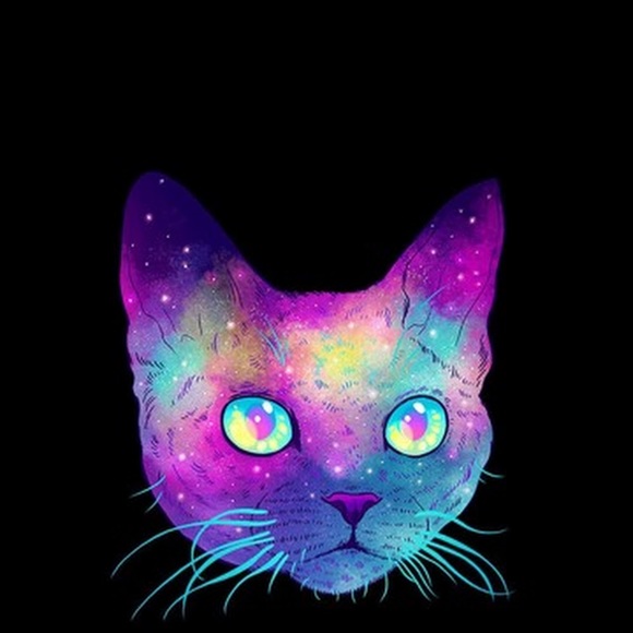 Meet your Posher, Randy - Picture 1 of 1