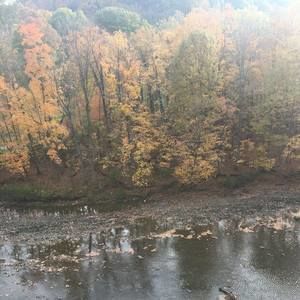 Meet your Posher, Damika