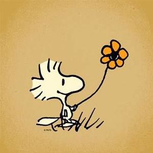 Meet your Posher, Liz